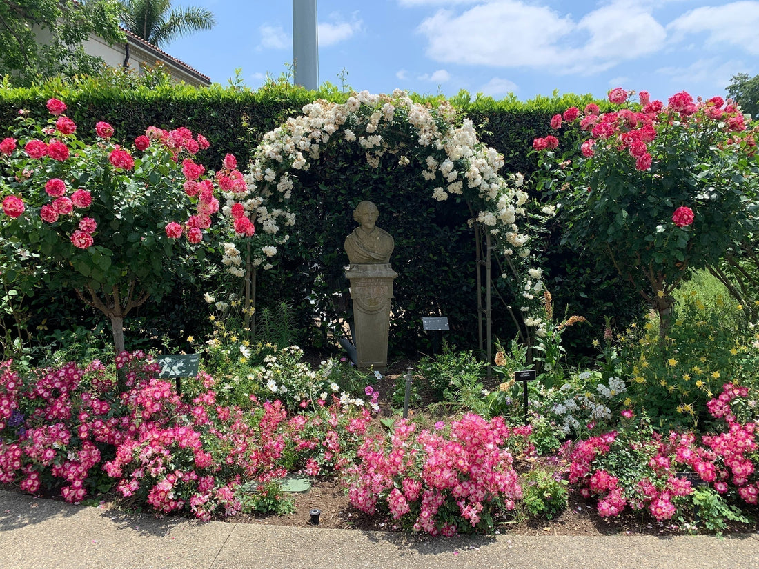 What the Huntington Rose Garden Can Teach You About Growing an English Style Garden